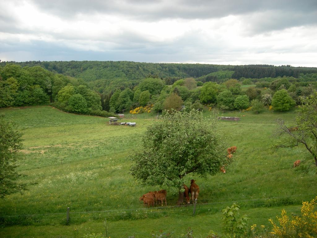 Landhaus Bad Bertrich Buitenkant foto