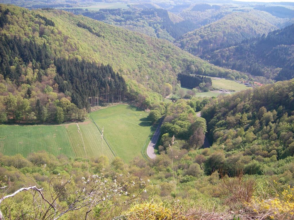 Landhaus Bad Bertrich Buitenkant foto