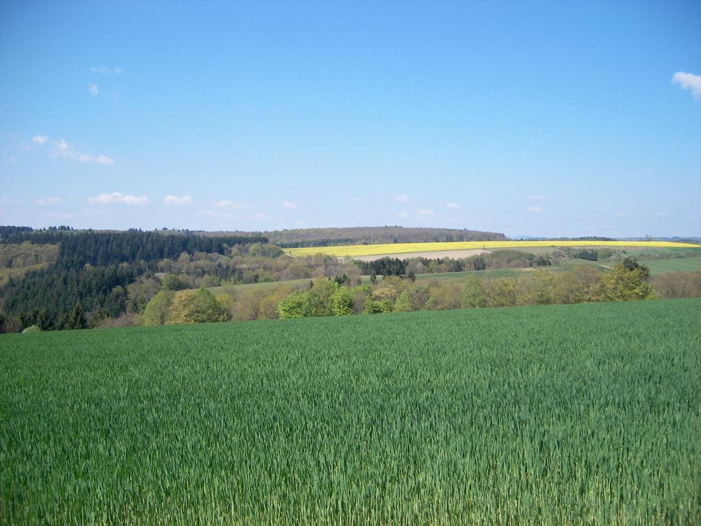 Landhaus Bad Bertrich Buitenkant foto