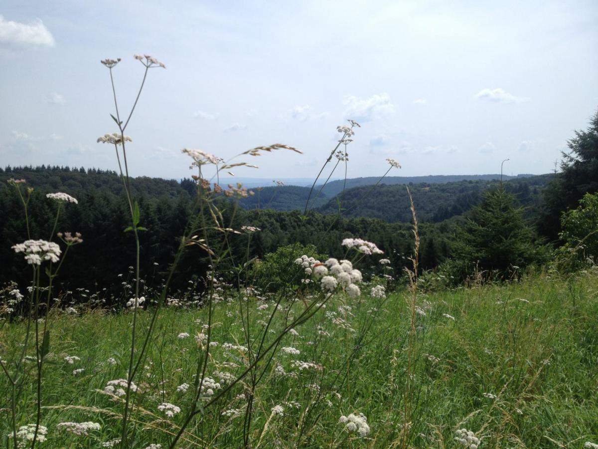 Landhaus Bad Bertrich Buitenkant foto