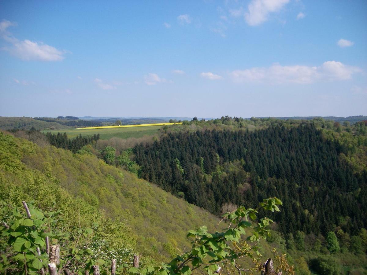 Landhaus Bad Bertrich Buitenkant foto